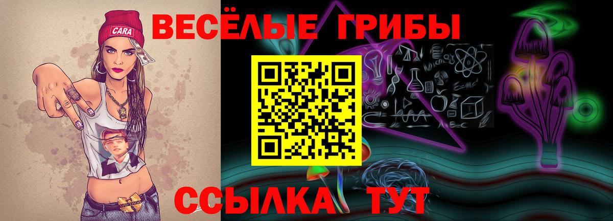купить закладку  Вход с VPN  Карасук  Галлюциногенные грибы мицелий 